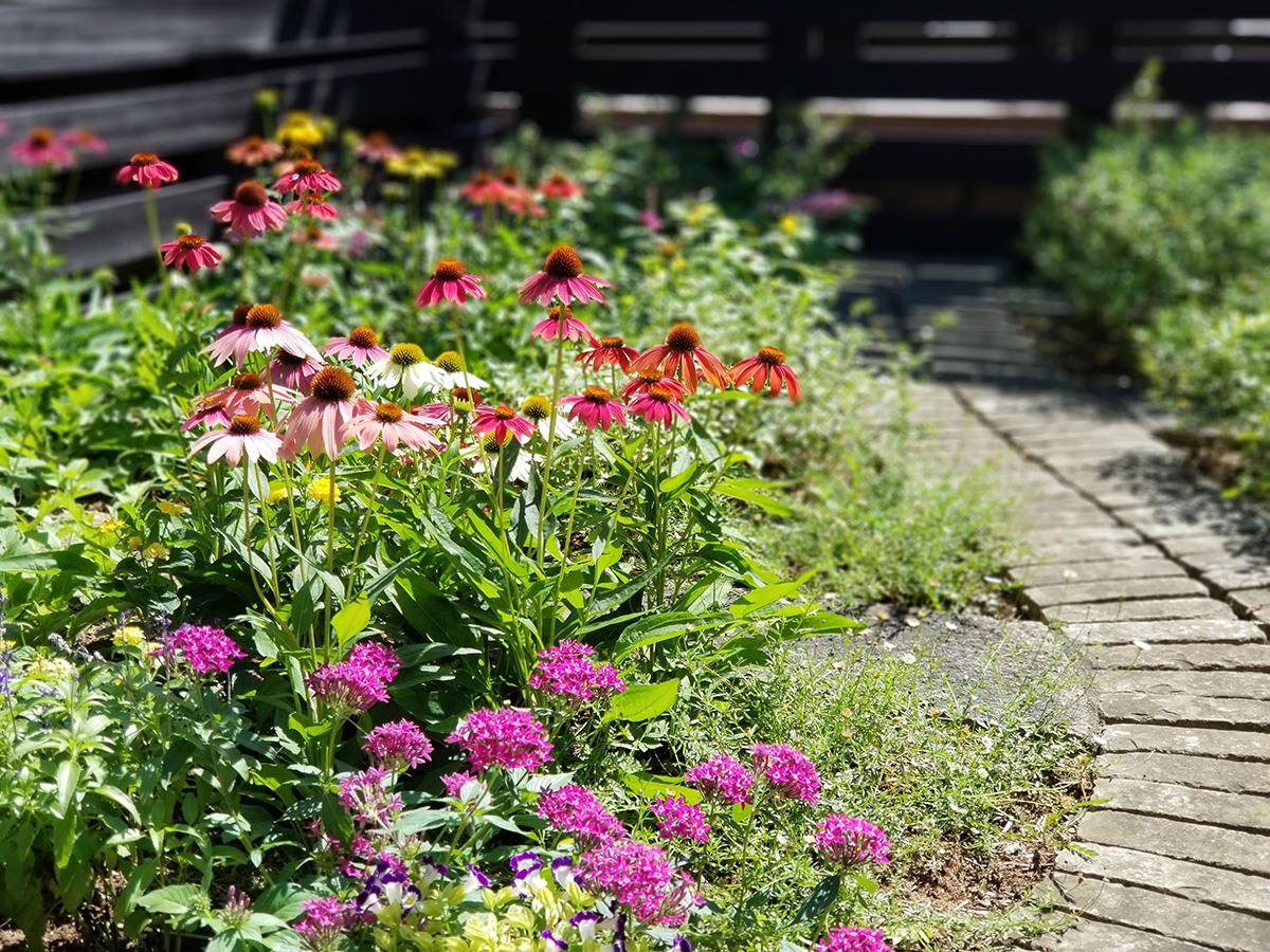 造園・ガーデンデザイン|株式会社花の企画社|花・植物のレンタル・装飾