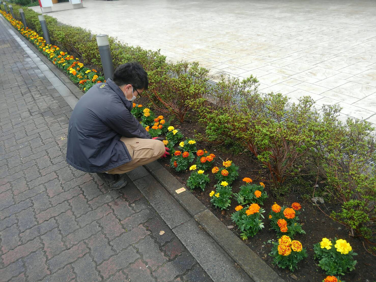 造園・植栽管理