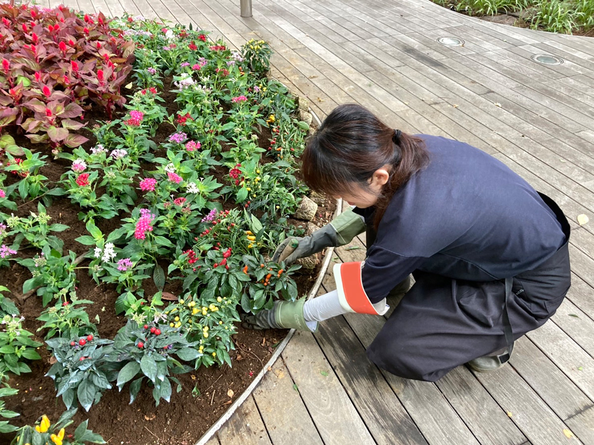 造園・植栽管理