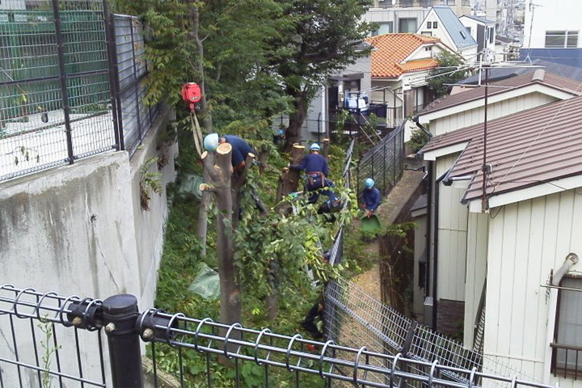 造園・植栽管理