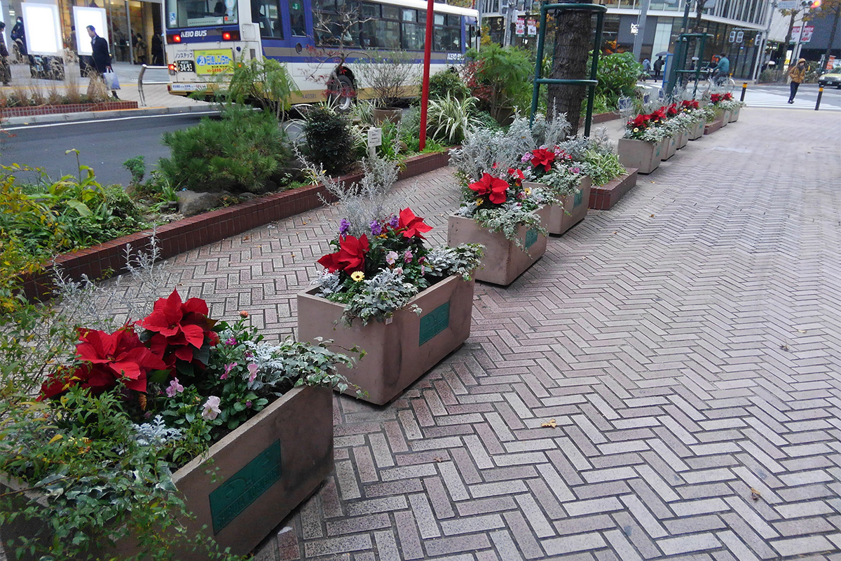 寄せ植えコンテナのレンタル