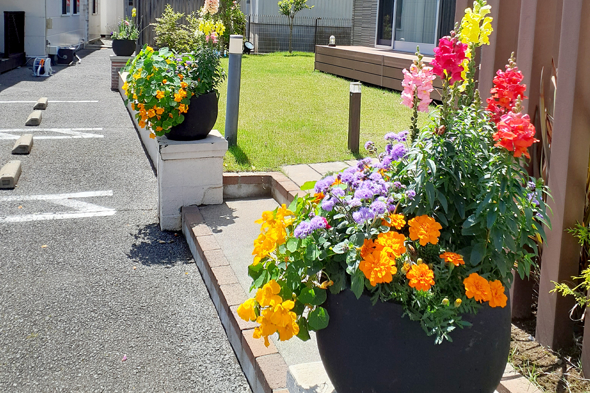 寄せ植えコンテナのレンタル